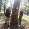 Ćwiczenia terenowe z Urządzania lasu – 3a