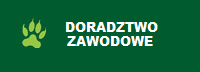 Doradztwo zawodowe