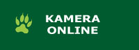 Kamera online